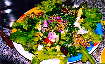 Rohkostsalat